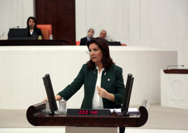 Kadınlara Seçme ve Seçilme Hakkı Verilişi'nin 82. yılı