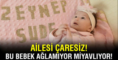 Çaresizliğin adı 'kedi miyavlaması sendromu'