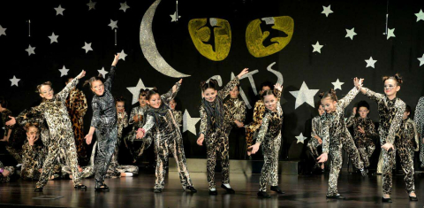 ‘Cats’ müzikali büyüledi