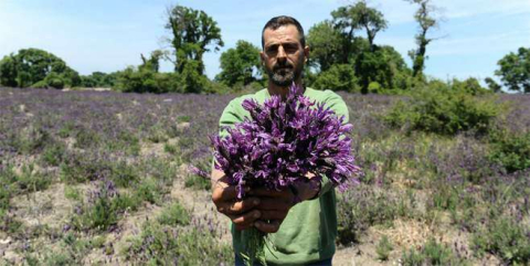 Nadir olarak Bursa'da yetişen doğal şifa kaynağı tehlike altında