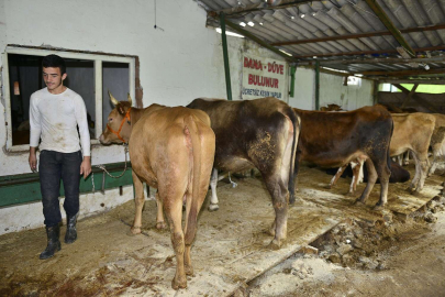 Yıldırım’da ‘sertifikalı kurban kesim kursu’