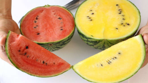 Sarı Karpuzun Faydaları Say Say Bitmiyor