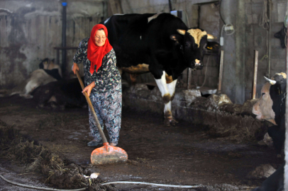 Köylünün Havva anası