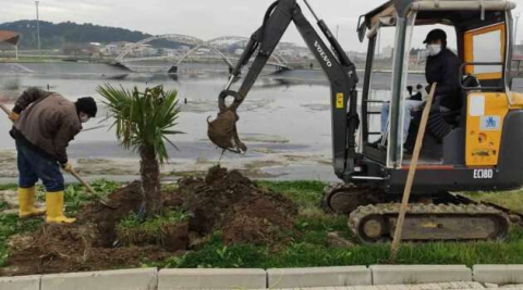 Karacabey’de binlerce fidan toprakla buluşuyor