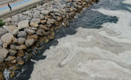 deniz salyası yoğunluğu su altı kamerasıyla görüntülendi