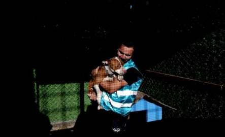 Bursa'da sokağa bırakılan pitbullar ile dost oldu...