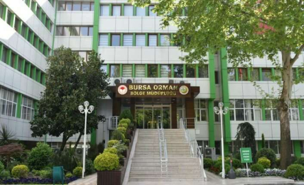 Bursa Orman İşletme Müdürlüğü danışmanlık hizmeti alacak