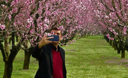 Bursa'da meyve bahçeleri fotoğraf stüdyosuna döndü