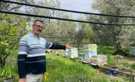 Bursa'da hırsızlar içi bal ve arı dolu 14 kovanı çalıp kaçtı