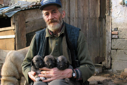 Eski köy, yeni mahalle: İsabey