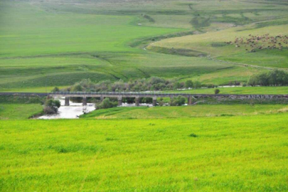 Türkiye’nin en büyük çayır ve mera alanları Erzurum’da