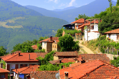 Bir Osmanlı köyü: Güneybayır