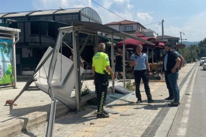 Bursa'da kamyonet 50 metre savrulup ünlü sanatçının evine daldı