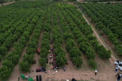 Coca-Cola Türkiye’den Bursa’da su geri kazanım projesi