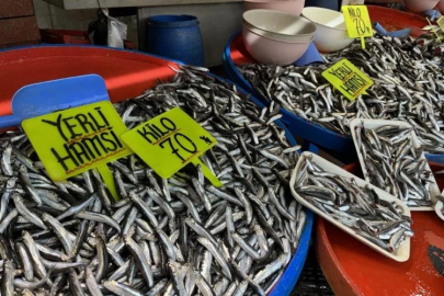 Bandırma'da hamsi bolluğu