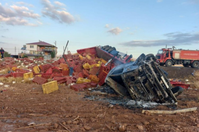 Kaza sonrası binlerce tavuk telef oldu