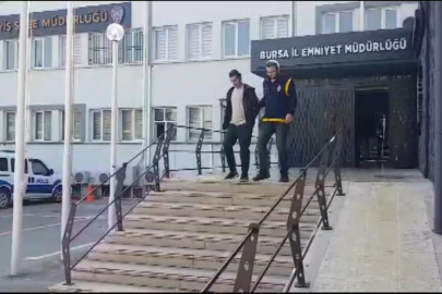 Oto faresini burnu yakalattı