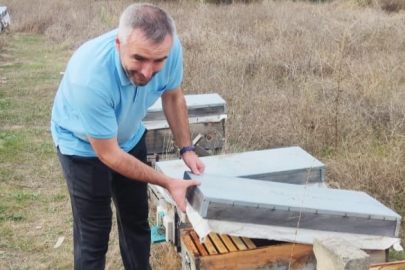 Orhaneli'de arılı kovan sayısı arttı