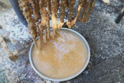 Kış aylarının vazgeçilmez lezzeti: "Orcik"