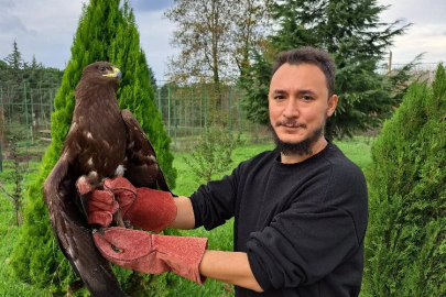 Yaralı kartal tedavisinin ardından özgürlüğüne kavuştu