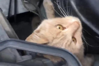 Bursa'da seyir halindeki aracın kaputundan çıktı