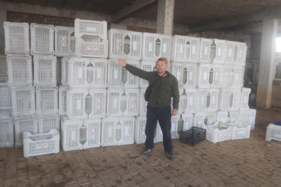 Tarım Kredi zeytin üreticisini yüzüstü bıraktı