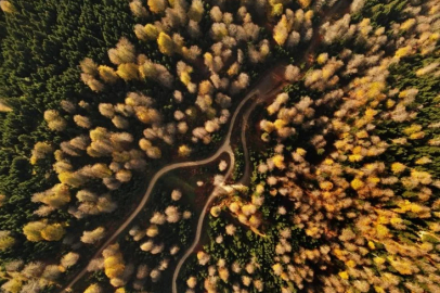 Sonbaharın Acelle Yaylası'ndaki tarifsiz yüzü hayran bıraktı