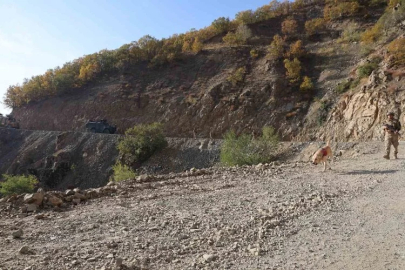 Diyarbakır’da 5 taburdan oluşan timler Lice’de terör operasyonuna çıktı