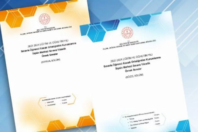 LGS merkezi sınavına yönelik örnek sorular yayımlandı