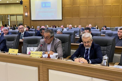 Kayapa Çöplüğü Meclis gündeminde