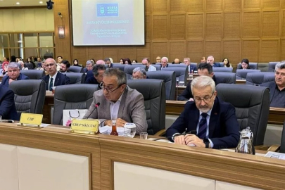 Kayapa Çöplüğü Meclis gündeminde