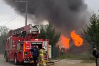 Bursa'da çiftlikte yangın paniği...