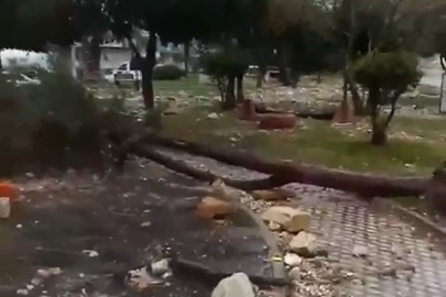 Bursa'da etkili olan lodos ve fırtına ortalığı birbirine kattı