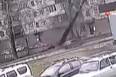 Hareket halindeki aracın üzerine ağaç devrildi: 2 ölü