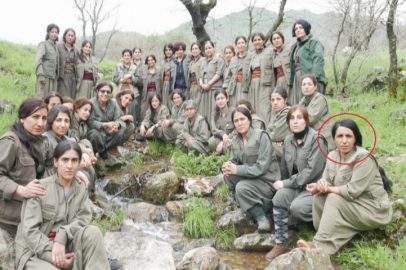 MİT'ten nokta operasyon! Sözde Toplumsal Alan Sorumlusu etkisiz...