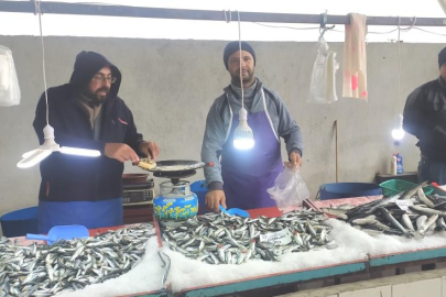 Havalar soğudu, balık bollaştı, fiyatlar düştü