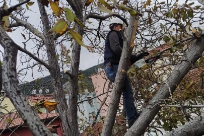 Osmangazi’de lodos mesaisi