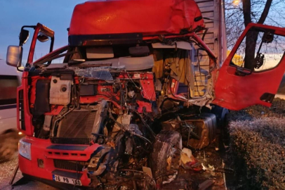 Bursa'da kontrolden çıkan TIR ağaca çarptı