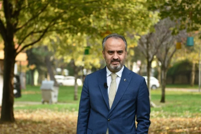 Bursa’da manolya zamanı