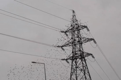 Bursa’da sığırcık kuşlarının dansı görsel şölen oluşturdu