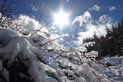 Beyaza bürünen Toroslar'da kartpostallık görüntüler oluştu