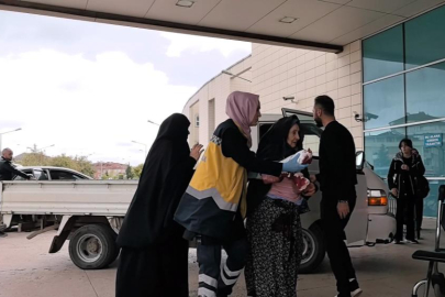 Bursa'da bir garip olay: Kedi ile köpeğin kavgasını ayırdı, kedinin saldırısına uğradı