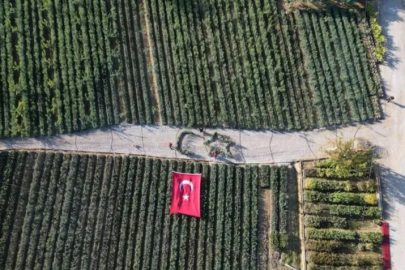 Cumhuriyetin 101. yılında zeytin fidanlarıyla Türk Bayrağı