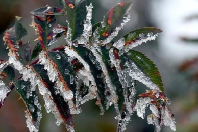 Meteoroloji'den Bursa için don uyarısı