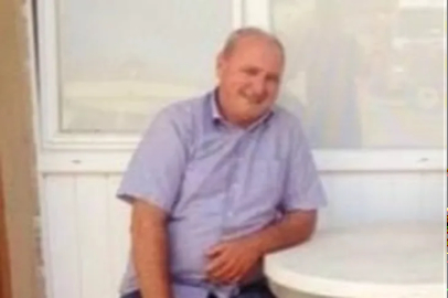 Bursa'da zeytin ağacından düşen şahıs ağır yaralandı