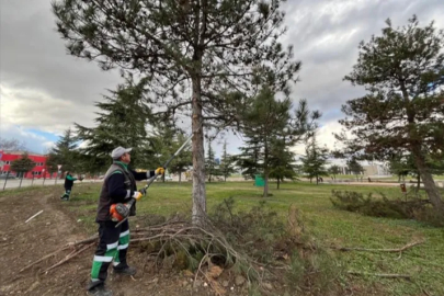 İnegöl’de yeşil alanlar bakıma alındı