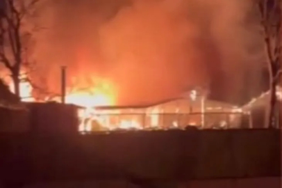 Bursa'da çiftlikte korkutan yangın