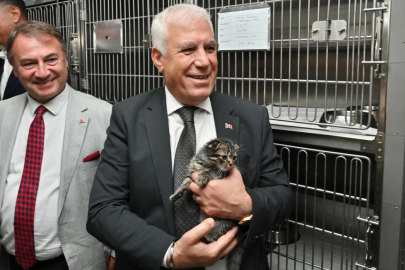 Bursa Büyükşehir’den can dostlara şefkat