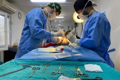 Osmangazi’de ayda ortalama 200 kedi kısırlaştırılıyor