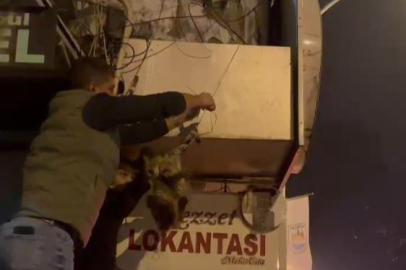 İznik’te kablolara dolanan kedi kurtarıldı